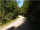 Forestry cottage Rovtarica - Lipniška planina