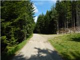 Forestry cottage Rovtarica - Lipniška planina