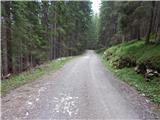 Forestry cottage Rovtarica - Lipniška planina