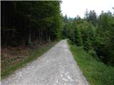 Forestry cottage Rovtarica - Lipniška planina