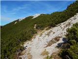 Bašelj - Mali Grintovec