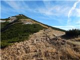 MHE Zabukovec - Bašeljski vrh