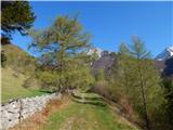 Tolminska korita - Planina na Kalu