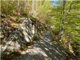 Tolminske Ravne - Planina na Kalu