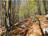 Tolminska korita - Planina na Kalu