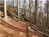 Molnarjev breg - Planina Osredek