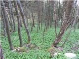 Spodnja postaja žičnice na Krvavec - Planina Jezerca