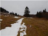 Okrog pri Motniku - Vivodnik