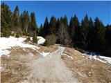 Koprivnik v Bohinju - Spodnji Goreljek (Pokljuka)