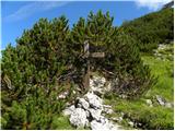 Planina Ravne - Kocbekov dom na Korošici