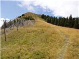 Bohinjsko sedlo - Lajnar