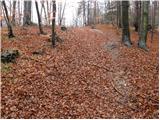 Planina - Hunting cottage on Planinska gora