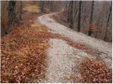 Planina - Lovska koča na Planinski gori