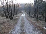 Prešnica - Hrpeljska gora