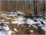 End of road below Jelovec - Limberk