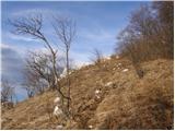 Podkraj - Križna gora (Hrušica)