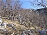 Vitovlje - Hunting cottage below Čaven