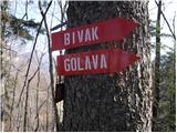 Matke - Golava