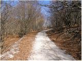 Planina - Grmada (Planinska gora)