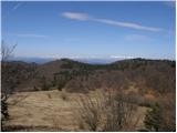 Planina - Petričev hrib