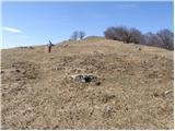 Planina (Dolnja Planina) - Petričev hrib