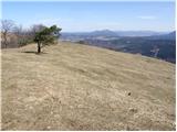 Planina - Petričev hrib