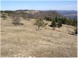 Planina - Petričev hrib