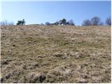 Planina (Dolnja Planina) - Petričev hrib