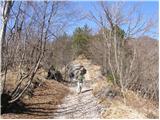 Planina - Grmada (Planinska gora)