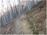 Zagrad - Grmada above Celje