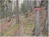 Povlje - Tolsti vrh