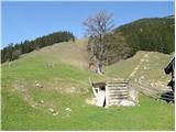 Planina pod Golico - Rosenbachsattel/Rožca