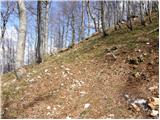Vrbovska Poljana - Planinarsko sklonište na Bjelolasici bivouac