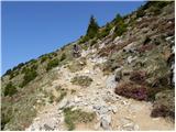 Rifugio Nordio - Ojstrnik (Osternig)