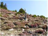 Rifugio Nordio - Ojstrnik (Osternig)