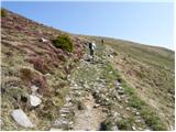 Rifugio Nordio - Osternig (Ojstrnik)