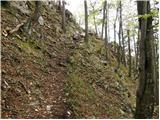 Bašelj - Mali Grintovec