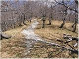 Platak - Veliki Risnjak