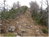 Bistriška planina - Šentanski vrh