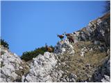 Planina Blato - Jezerski Stog