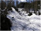 End of road on Pokljuka - Jezerski Stog