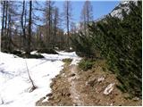 End of road on Pokljuka - Jezerski Stog