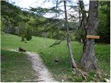 Planina Spodnja Grintovica