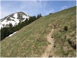 Planina pod Golico - Hruški vrh