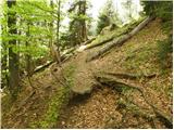 Ogris - Klagenfurter Hutte/Celovška koča