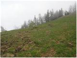 Planina pod Golico - Kahlkogel/Golica