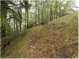 Planina pod Golico - Kahlkogel/Golica