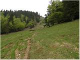 Planina pod Golico - Koča na Golici