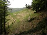 Planina pod Golico - Planina Možine