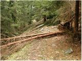 Planina pod Golico - Koča na Golici